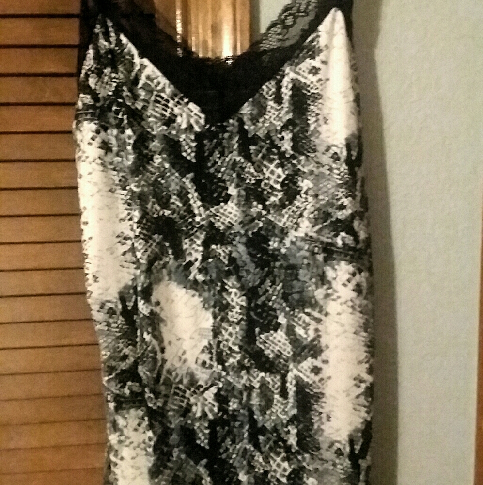 Snake print lace trimmed camisol